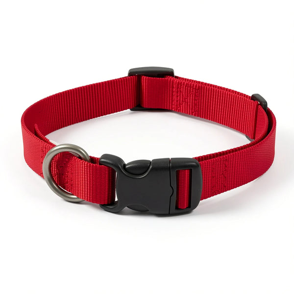 Adjustable nylon pet collar laid flat