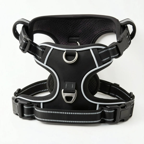 Dog wearing a no-pull harness on a walk