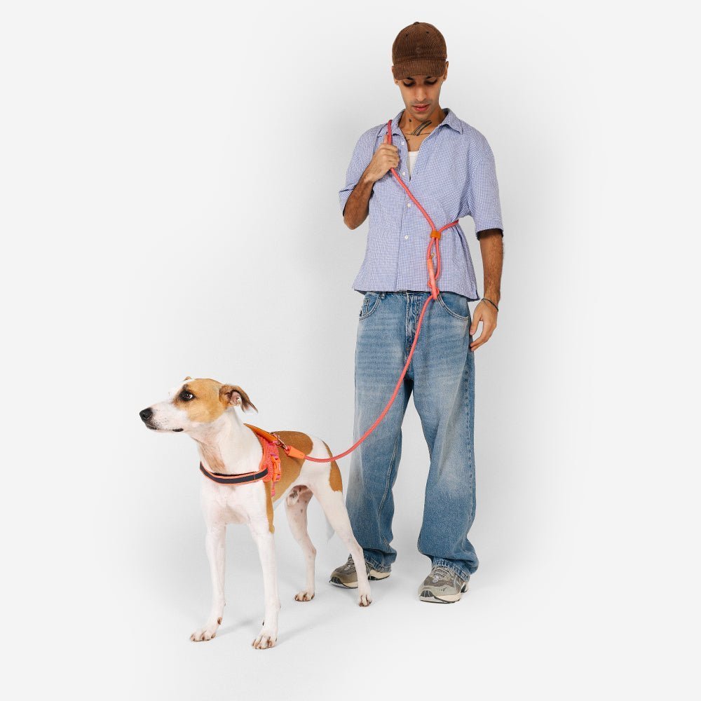 Gazelle | Hands-Free Leash - Image 3