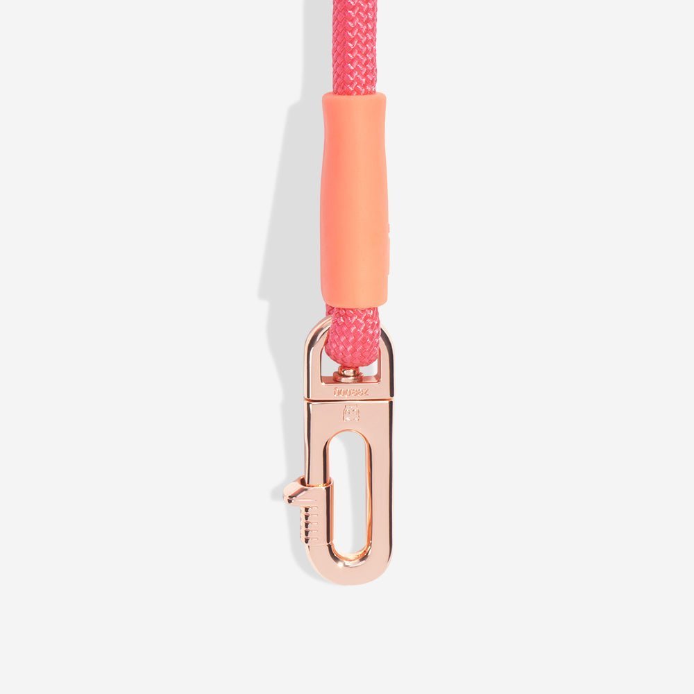 Gazelle | Hands-Free Leash - Image 5