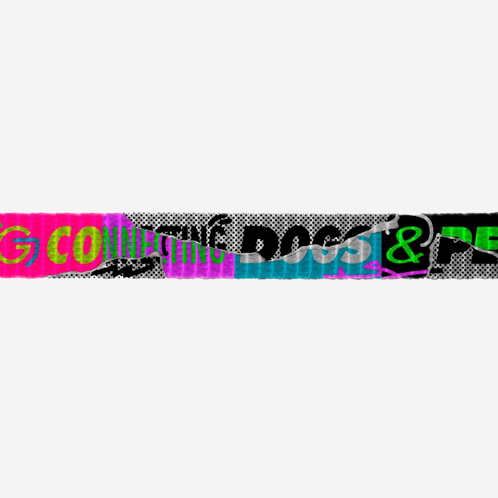 Manifesto | Cat Harness with Leash - Image 3