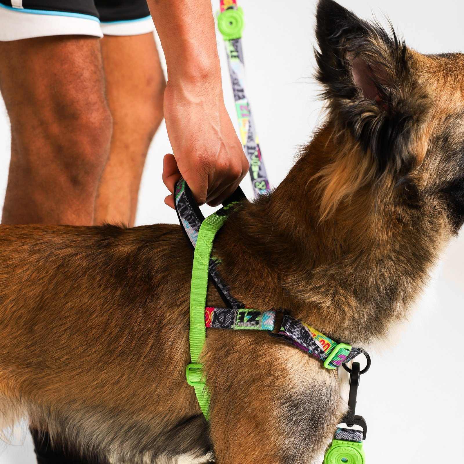 Manifesto | SofterWalk Harness - Image 3