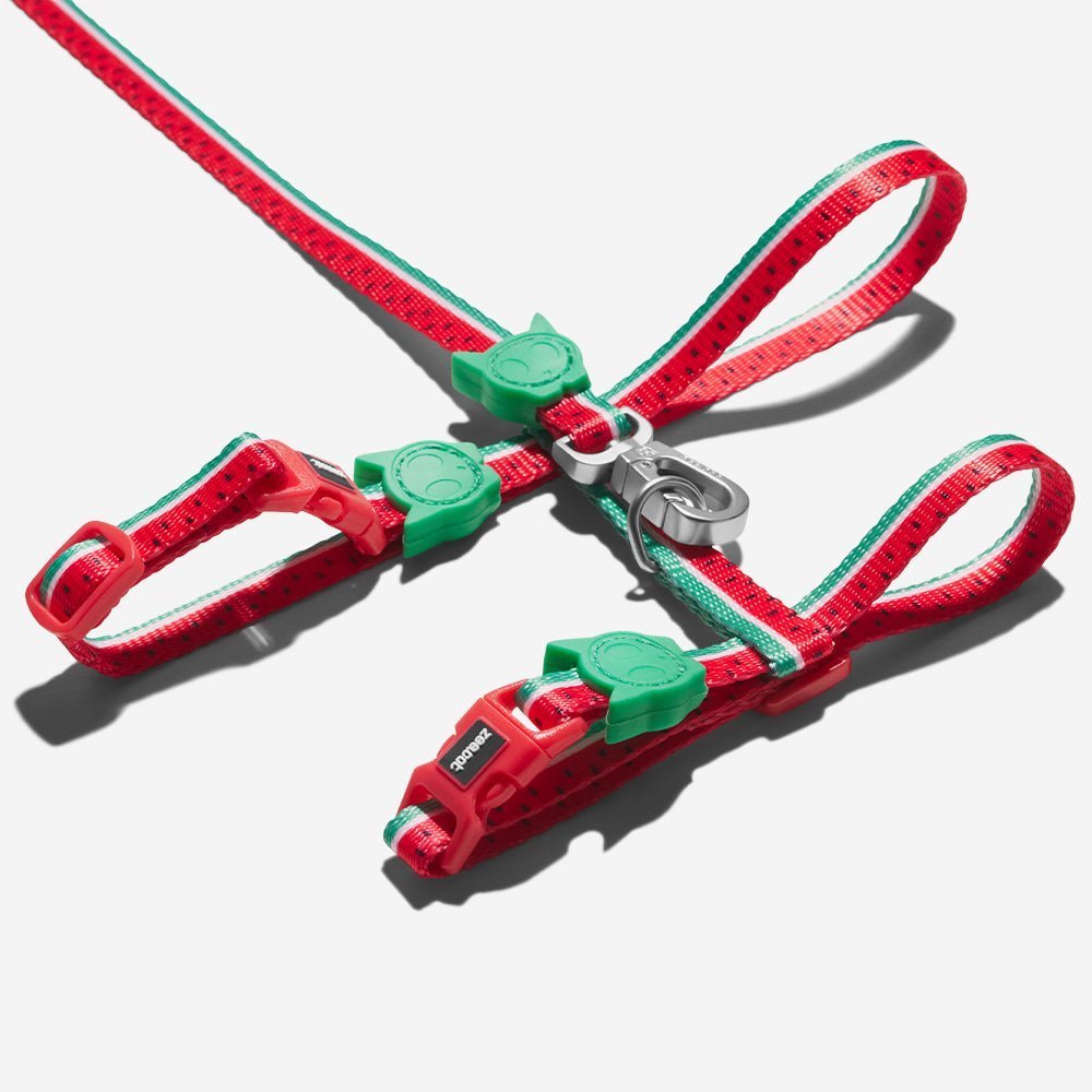 Lola | Cat Harness with Leash - Image 2