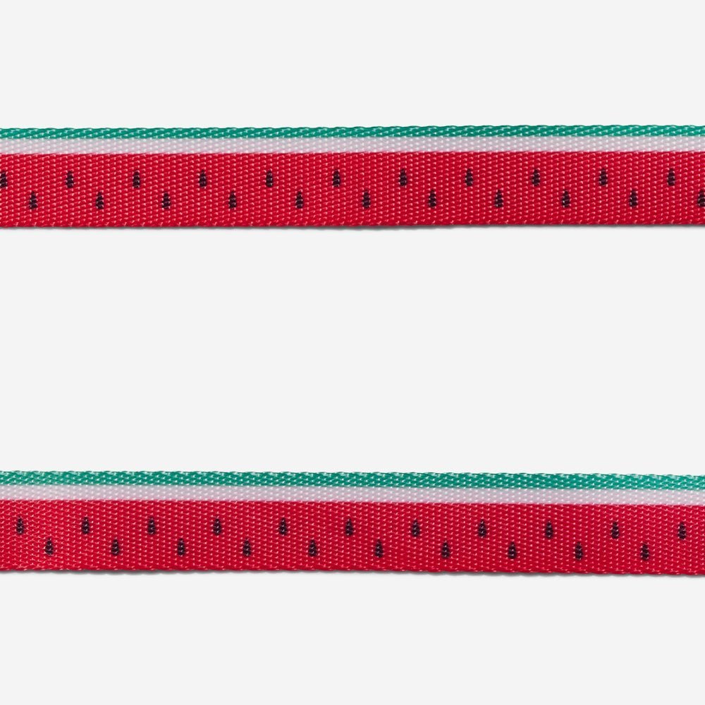 Lola | Cat Harness with Leash - Image 4