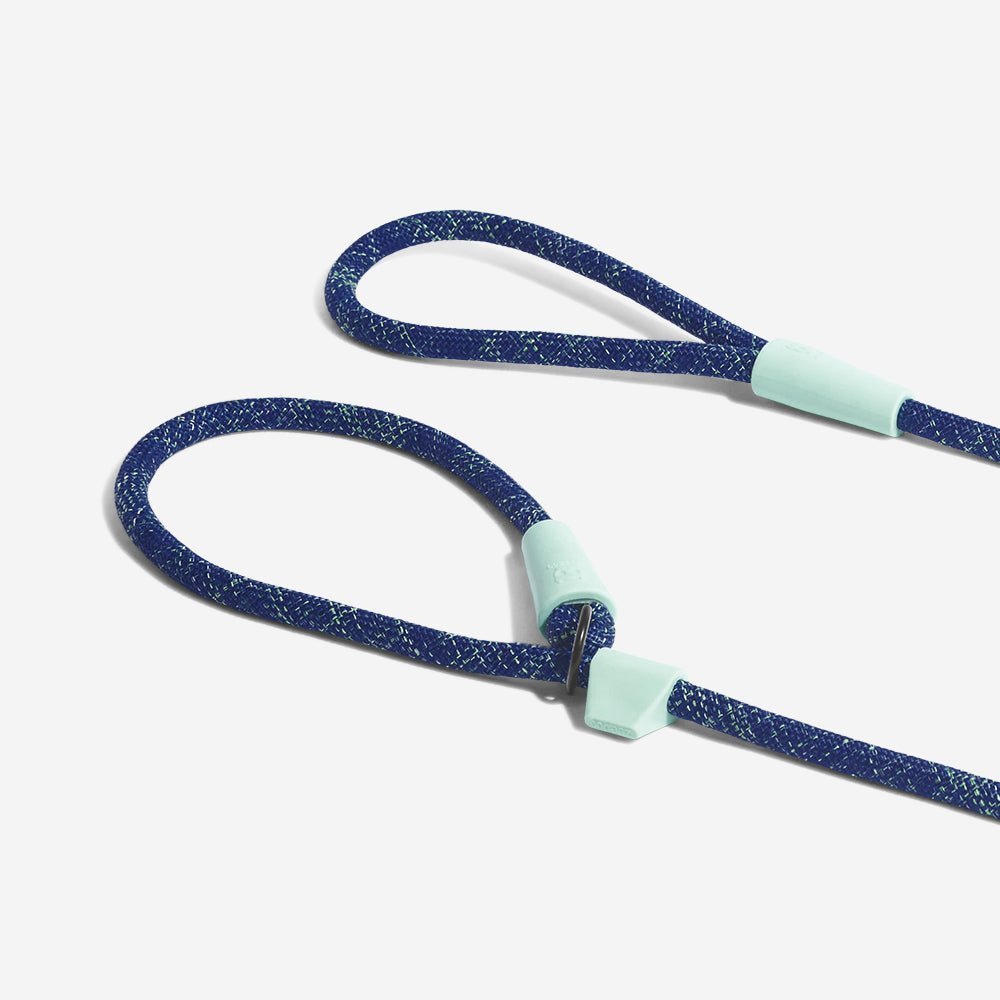 Indigo | Slip-on Leash - Image 4